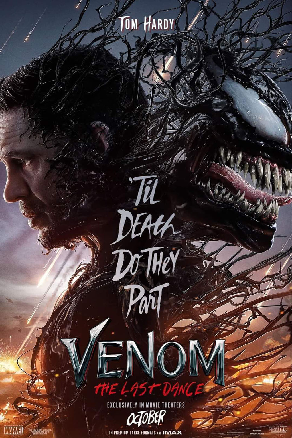 Venom-The-Last-Dance-2025.jpg